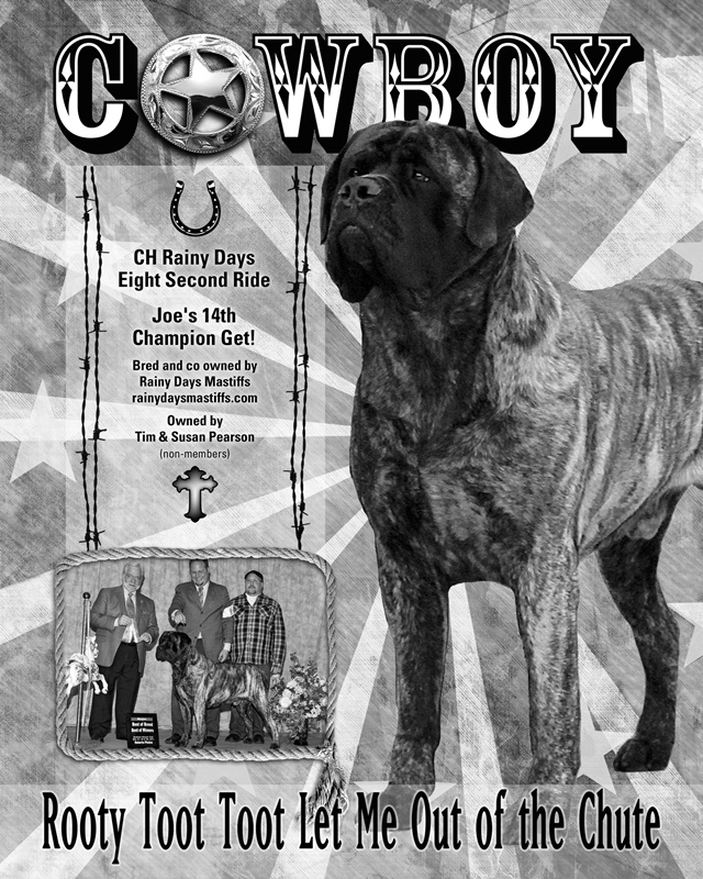 Cowboy 2011 MCOA Journal