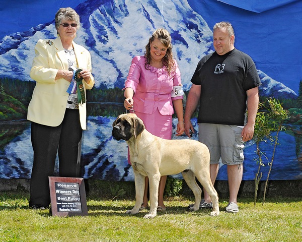 RWD and Best Puppy at Mount Rainer Working Dog Specialty