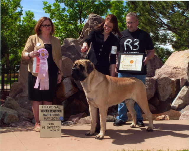 BOS Sweeps RMMF Specialty