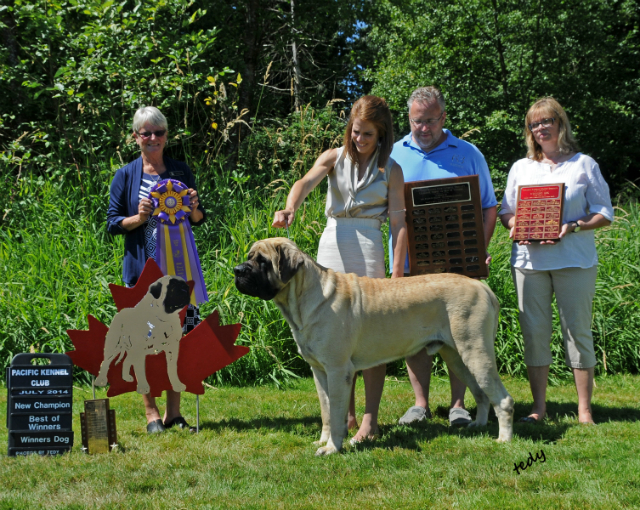 BOW at CMC Specialty