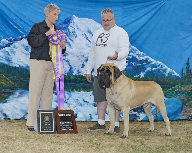 BOB at CEMC Supported