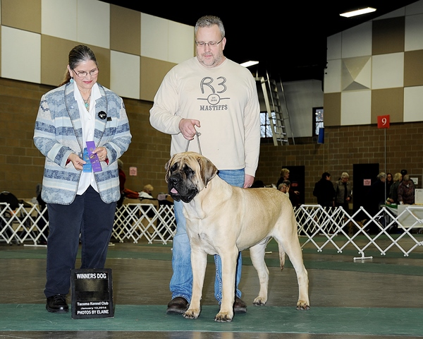 WD at Tacoma County KC