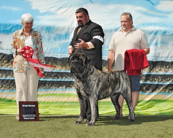 Group Two at 2013 Niscqually Kennel Club