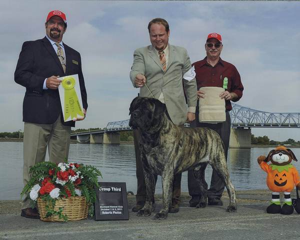 Group Third at 2011 Richland Kennel Club
