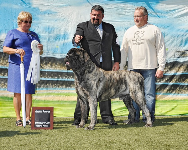 Group Fourth at 2013 Niscqually Kennel Club