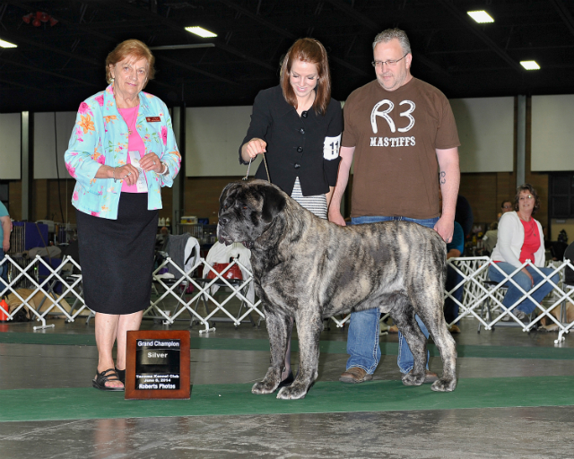 Silver Grand Champion