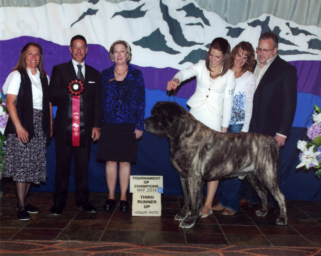 2014 Tournament of Champions