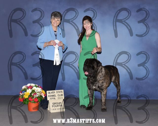 Group 4 Silver State KC