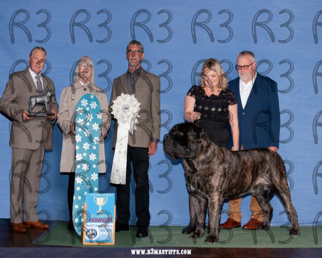 Winner MCOA Tournament of Champions