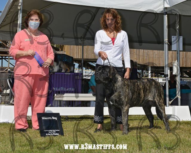 Winner's Dog Puyallup