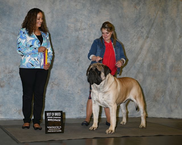 Bronze GCH