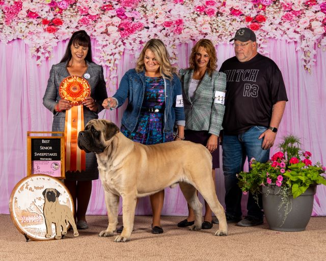 Best in Senior Sweeps