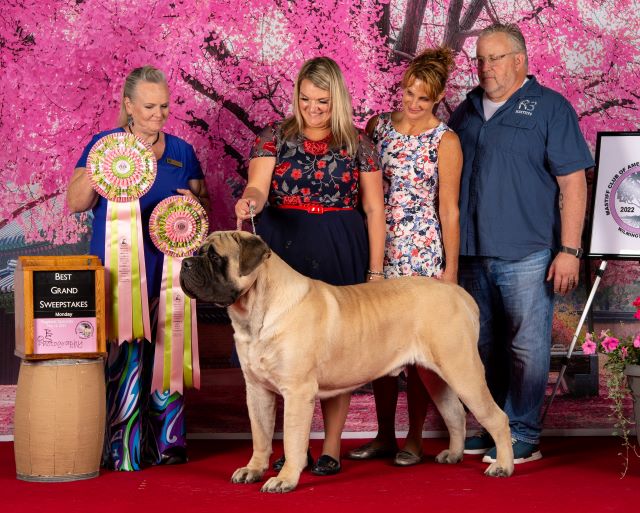 Best in Grand Sweeps