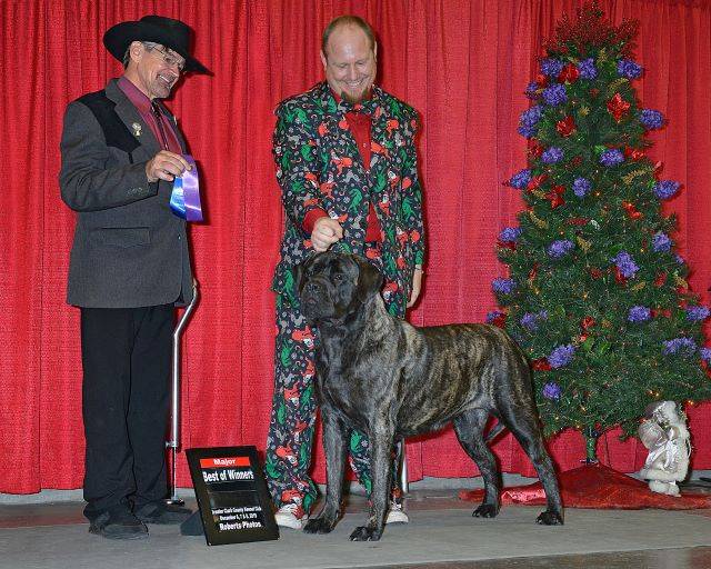 BOW Great Clark County KC