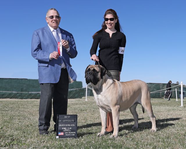 Best Opposite Greater Sierra Vista