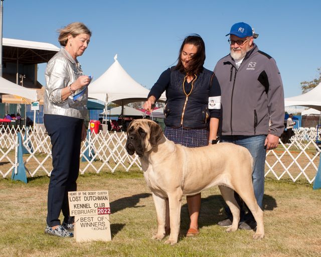 Best of Winners Lost Dutchman