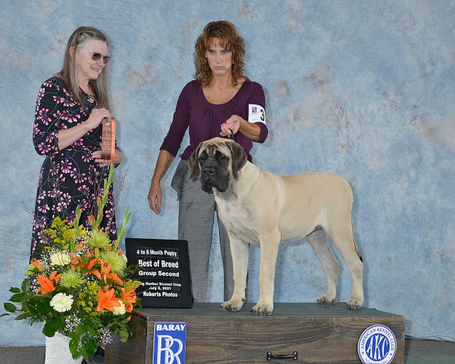 BPUP G2 Gig Harbor KC