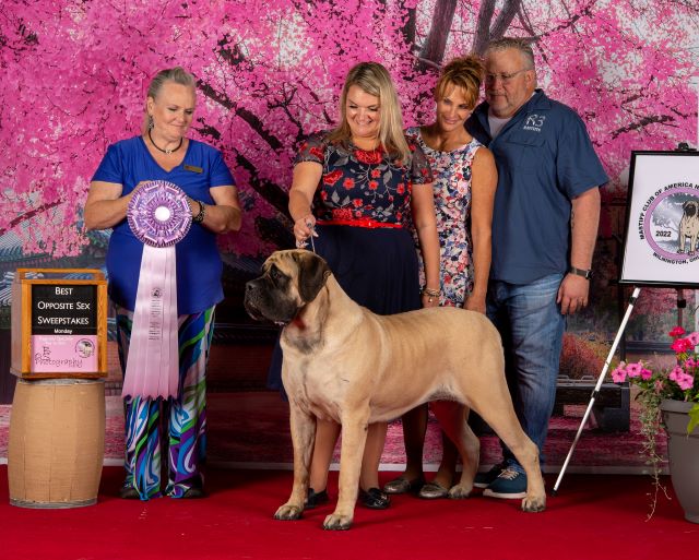 Best Opposite MMF Sweeps