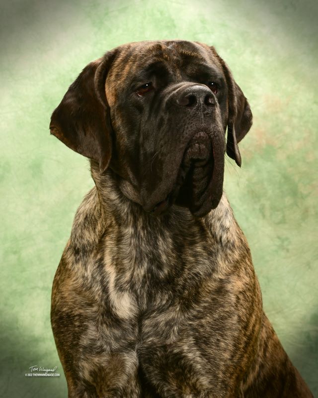 Laramie 16 months old