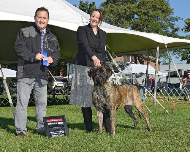 Laramie Winners Bitch