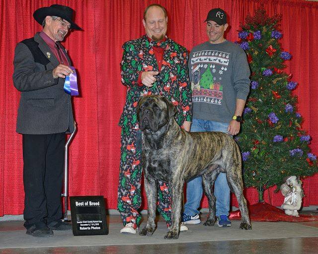 BOB Great Clark County KC