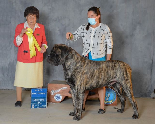 Group 3 Corpus Christi 1