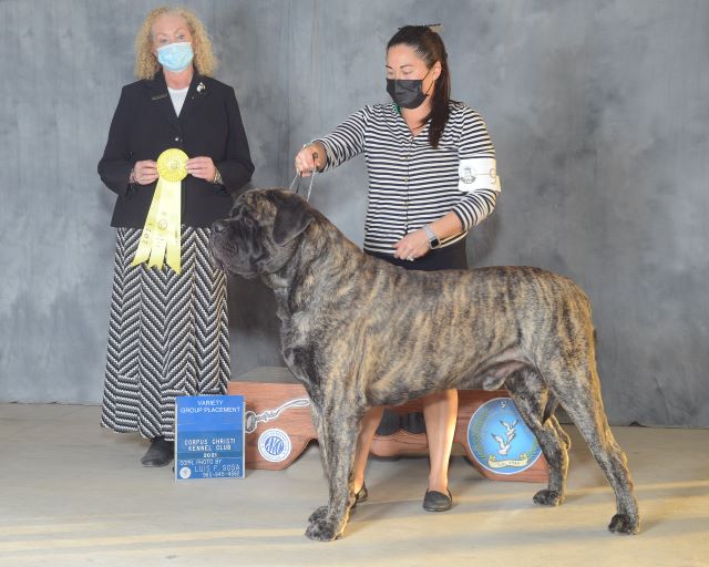 Group 3 Corpus Christi 2