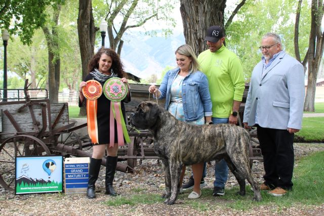 Best in Grand Maturity