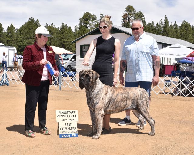 Best of Winners Flagstaff KC