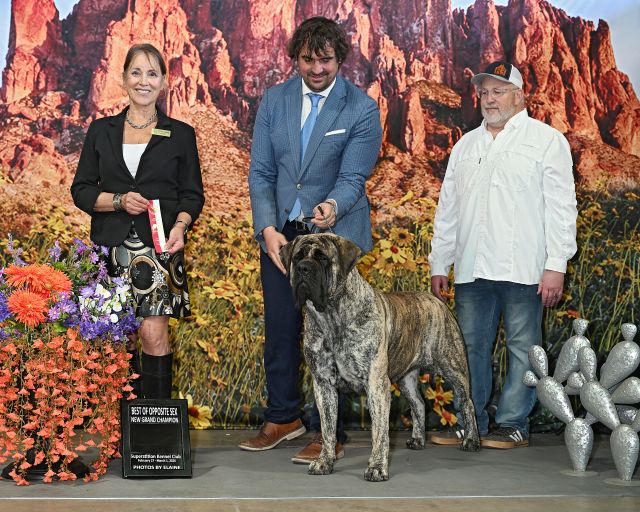 Grand Champion