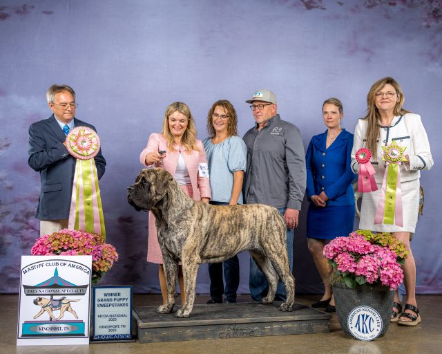 Best in Grand Sweepstakes