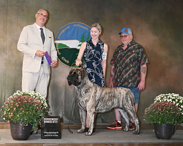 Winners Bitch Evergreen Colorado KC