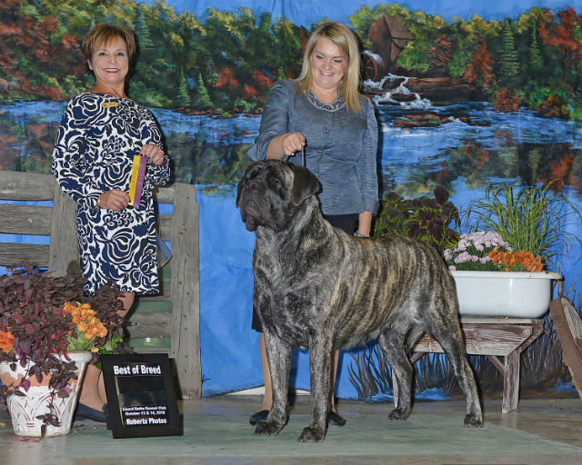 BOB at Lizard Butte 2018