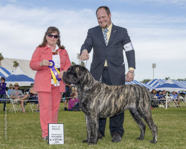 BOB at Palm Springs 2018