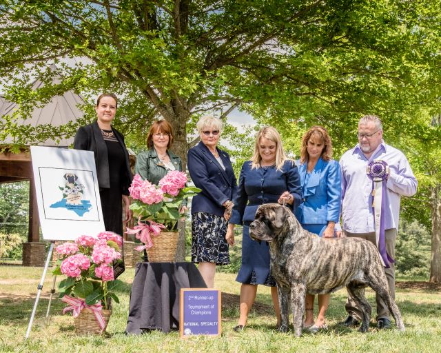 Tournament of Champions